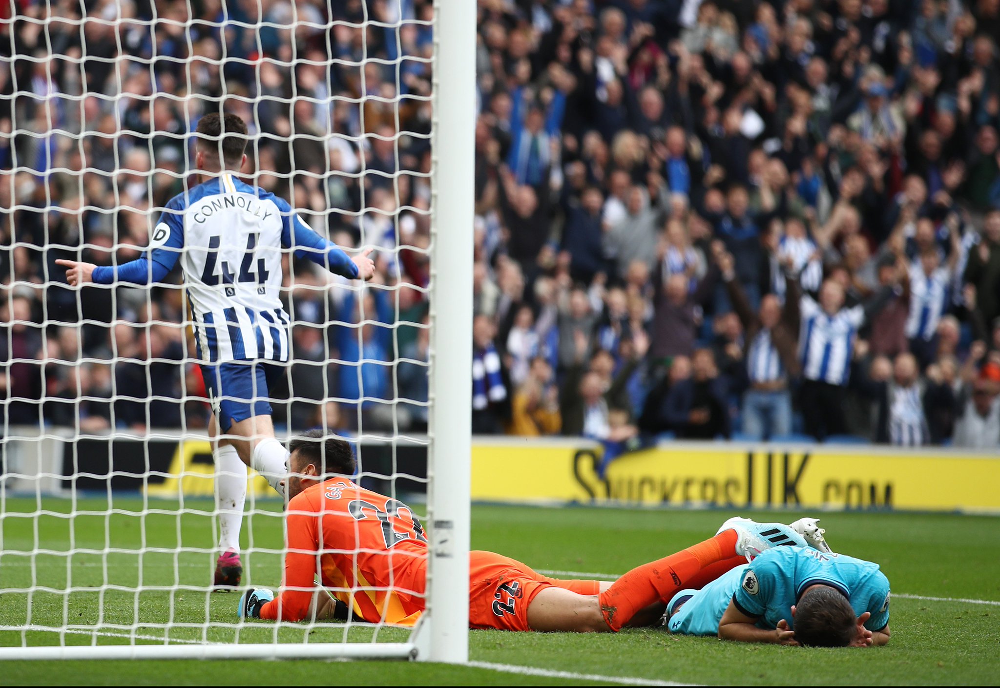 味着极高的 味着极高的